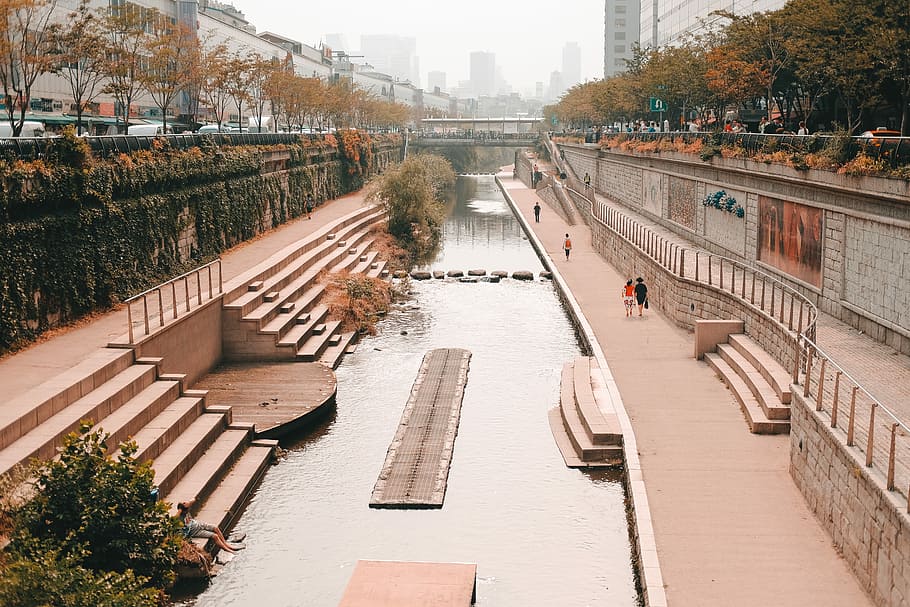 body of water near trees, body of water in between concrete pavements HD wallpaper