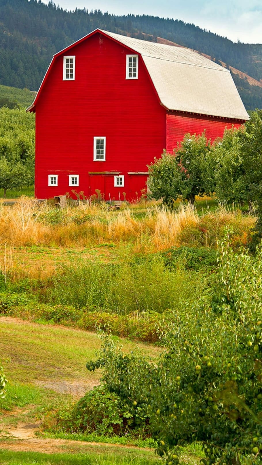 Red, Barn, Oregon, house, built structure, building exterior HD wallpaper