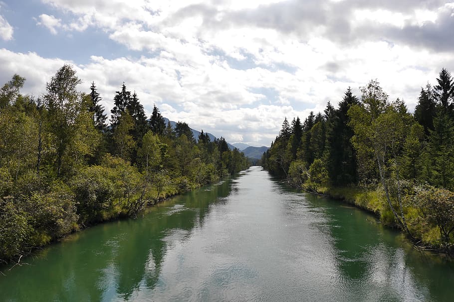 river during daytime, landscape, forest, feather, mirror image HD wallpaper