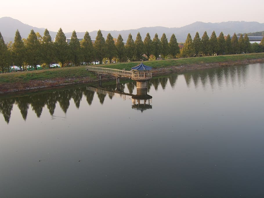 lake, wood, landscape, reflection, water, tree, sky, plant HD wallpaper