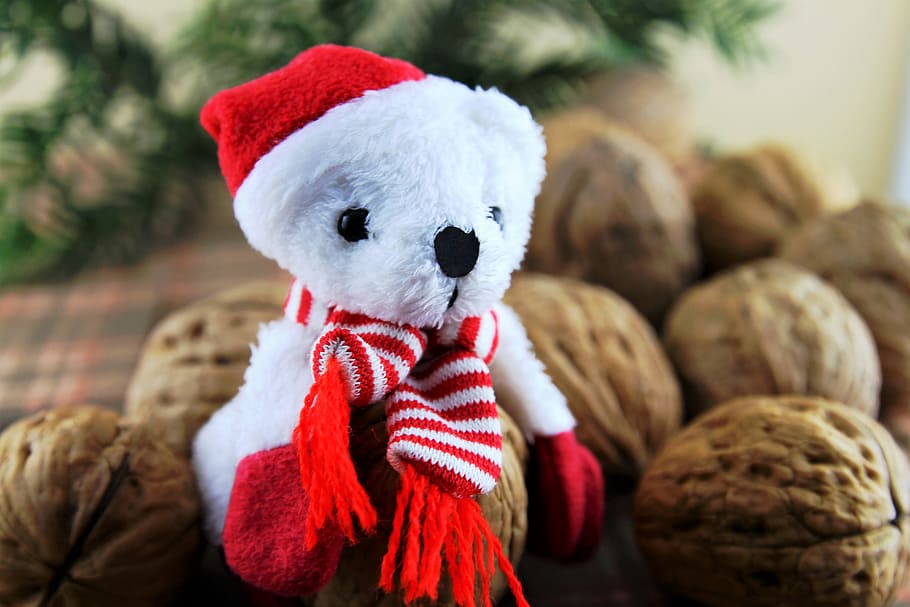 selective photography of white plush toy on table, nuts, walnut HD wallpaper