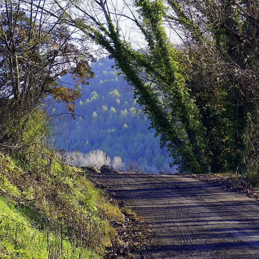 path, rural, trail, nature, field, mountain, walk, route, calm HD wallpaper