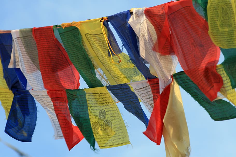 prayer flags, buddhism, nepal, kathmandu, faith, hanging, multi colored, HD wallpaper
