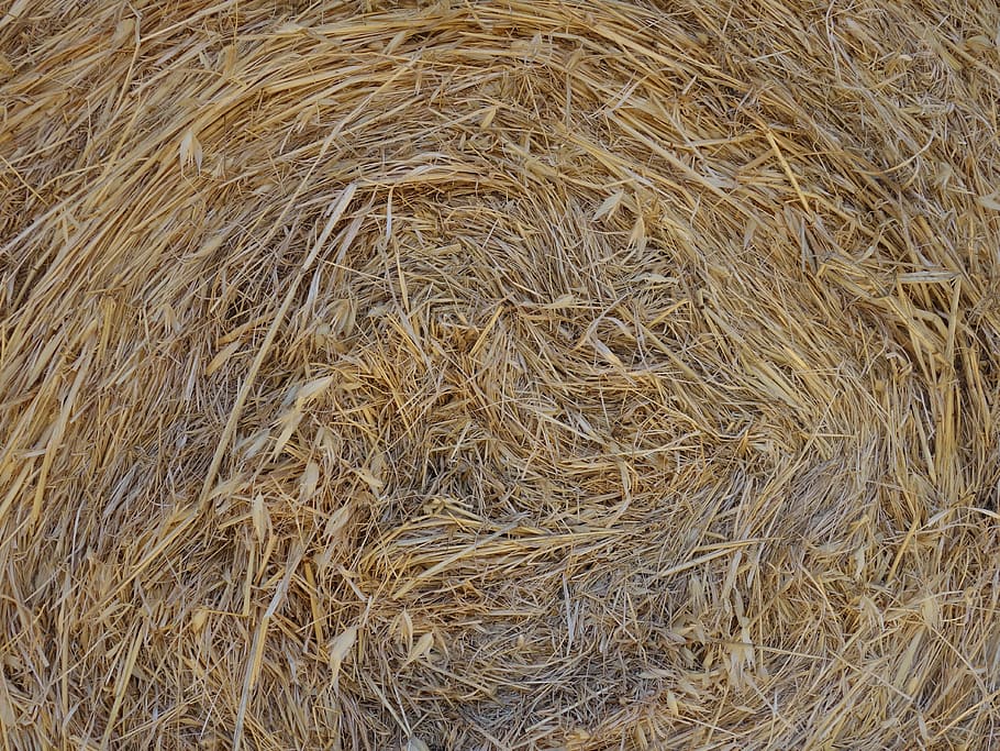 straw, straw bales, dry, rolled, pattern, hay, agriculture HD wallpaper