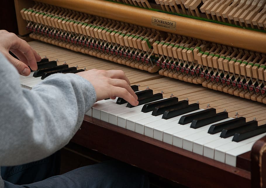 person playing piano, musician, artist, musical instrument, musical equipment, HD wallpaper
