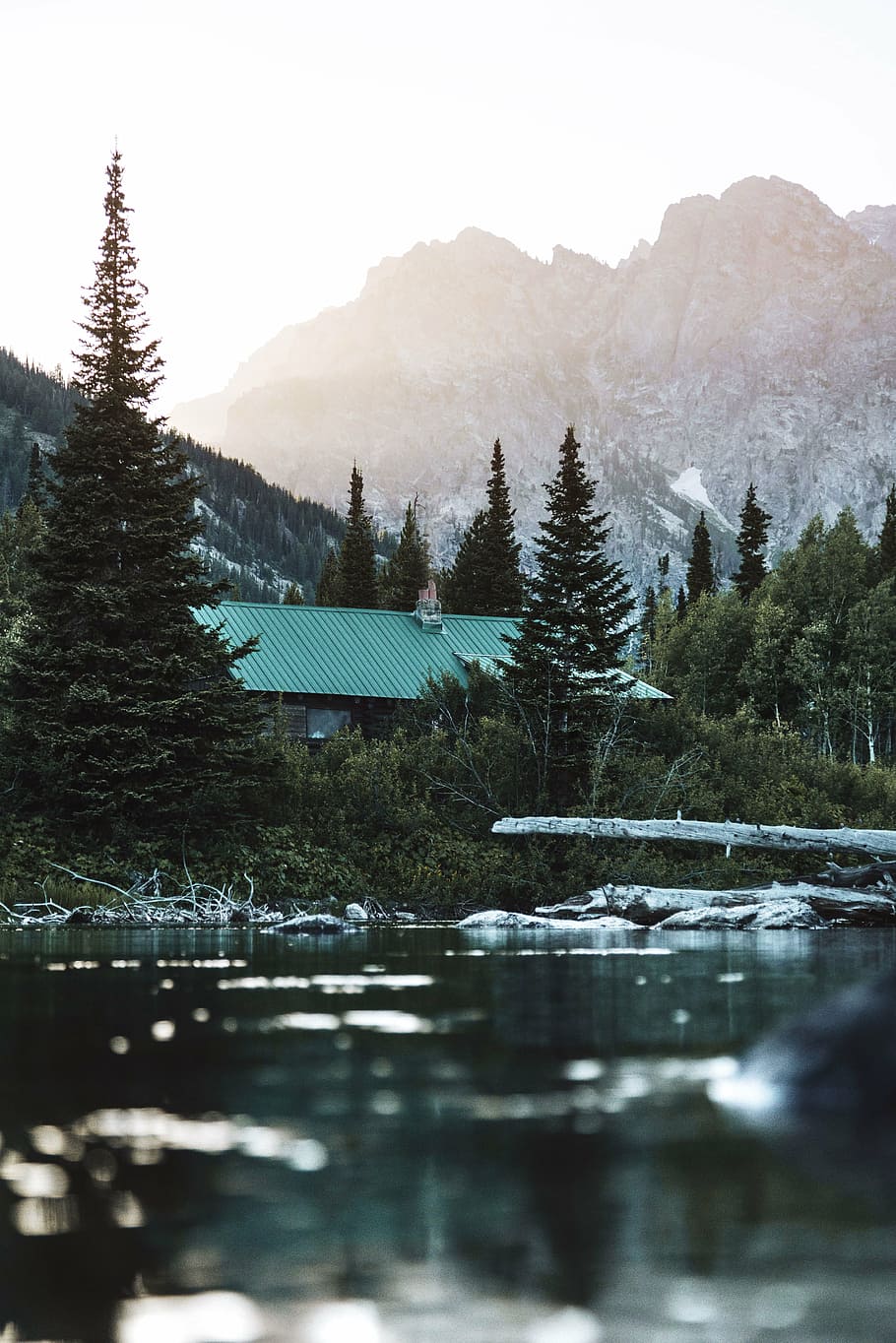 green-roofed house between tall trees near calm body of water at daytime HD wallpaper