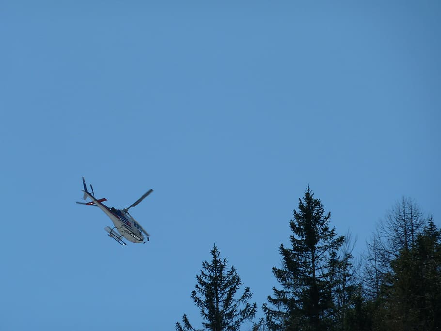 helicopter, sky, fly, tree, nature, clear sky, plant, blue HD wallpaper