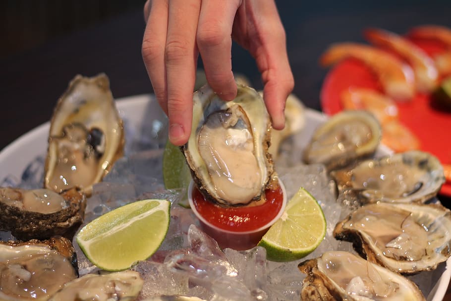 oyster, half shell, seafood, human hand, food and drink, human body part HD wallpaper