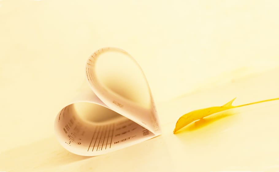 Shape, Tablature, Leaf, close-up, no People, selective focus HD wallpaper