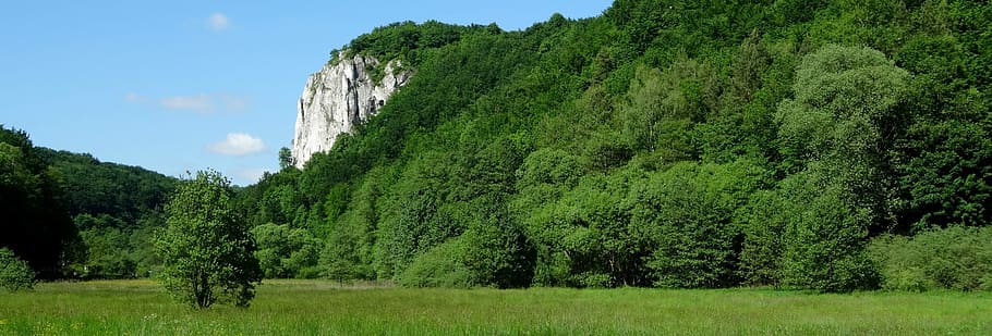 Tree, Rock, Poland, Landscape, Nature, spring, green, the silence HD wallpaper