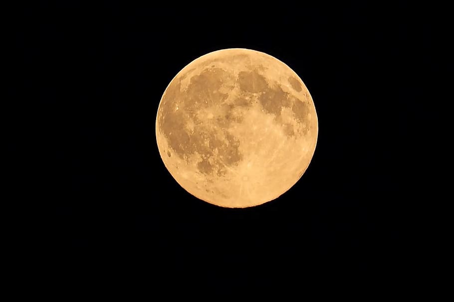 photo of full moon, all, star, live, night, sky, space, astronomy HD wallpaper