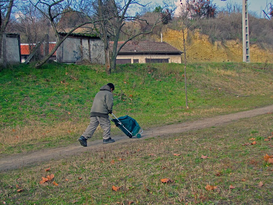 boy, walk, kid, one person, real people, full length, plant HD wallpaper