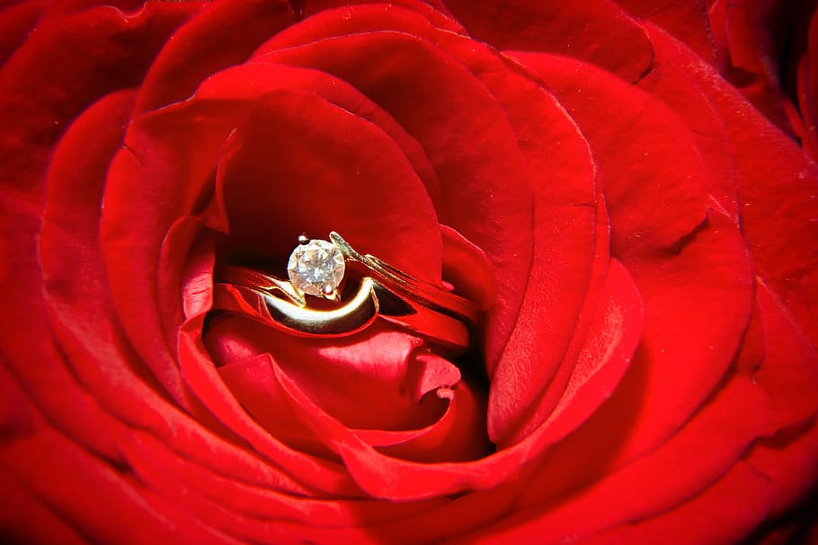 gold-colored ring with clear gemstone, rose, flower, wedding
