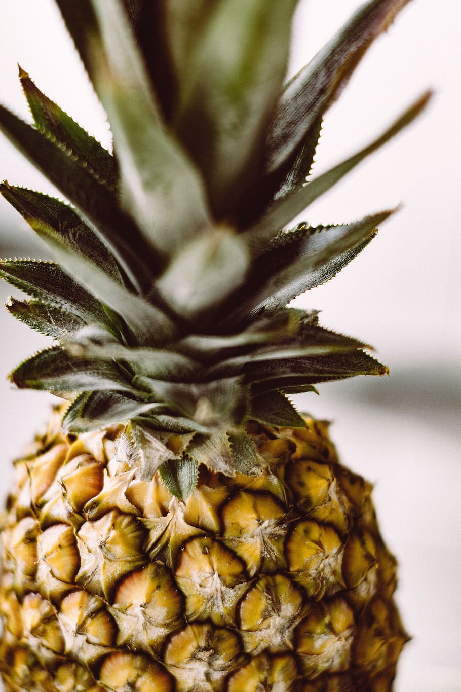 selective focus photography of pineapple, dessert, appetizer HD wallpaper