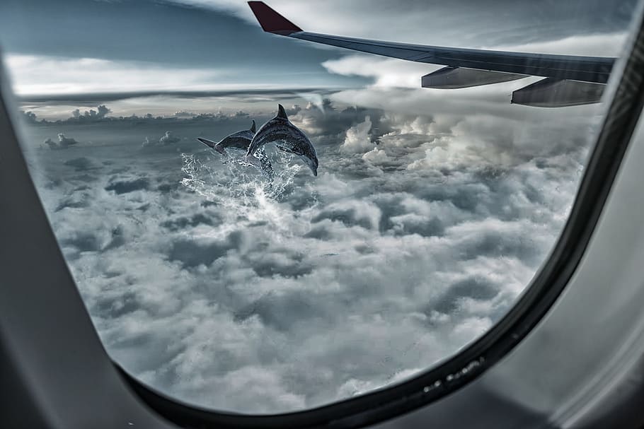 windowpane of the plane, sky, height, flight, wing, cloud - sky