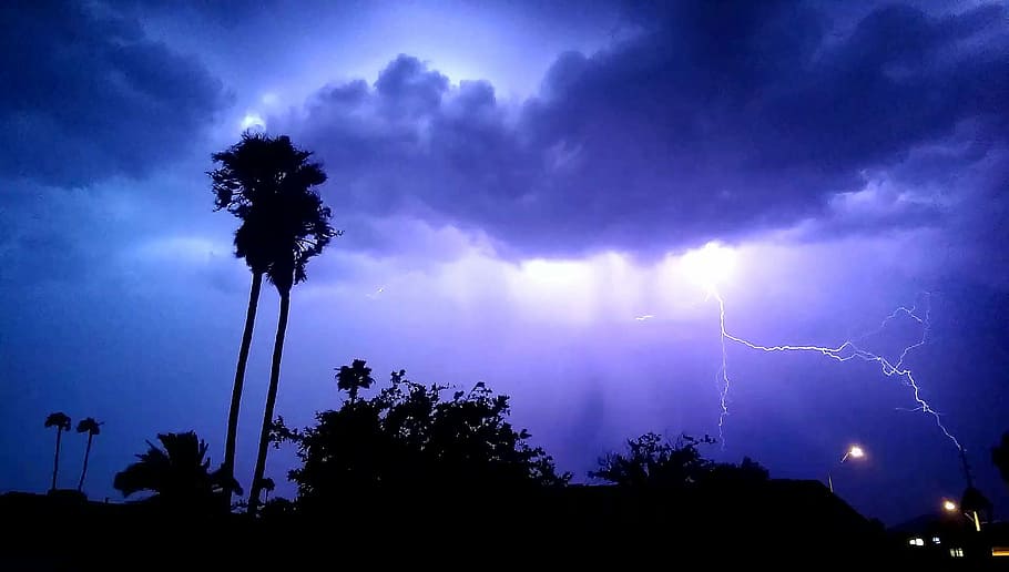 trees and lightning at night, Lightening, Clouds, Dark, storm HD wallpaper