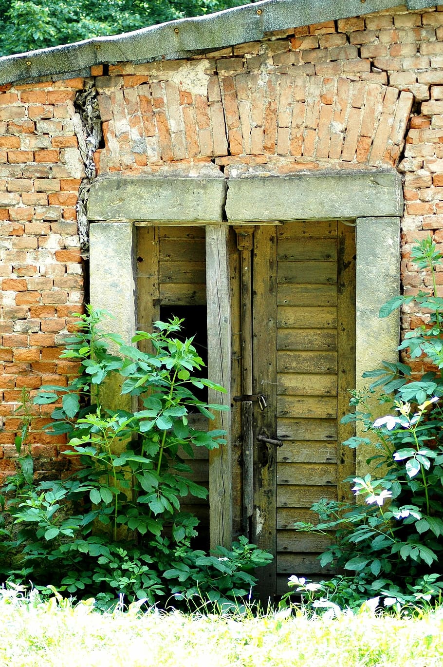 door, wall, bricks, old building, lost, overgrown, built structure HD wallpaper
