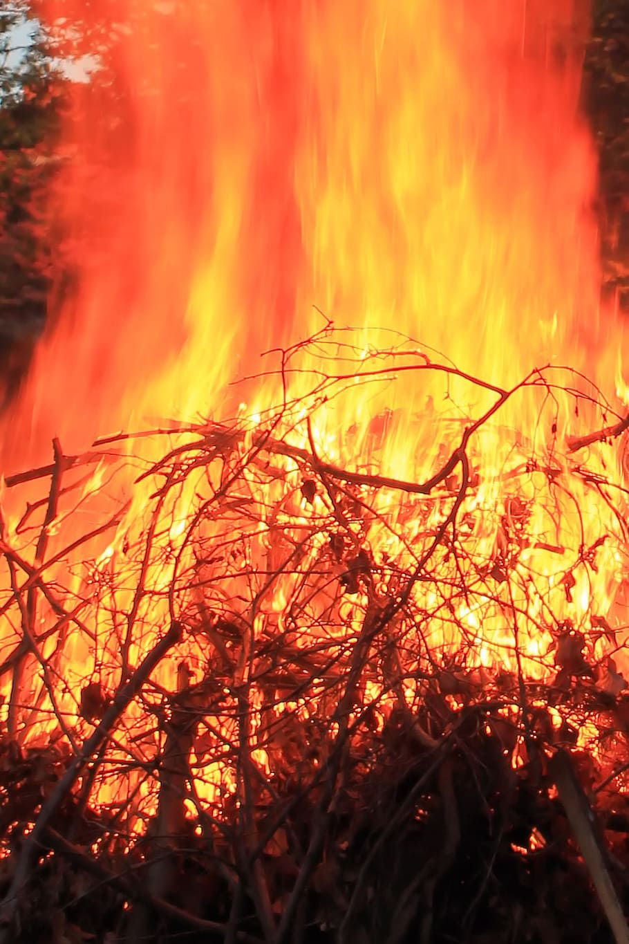 Fire, Flame, Burn, Log, flame log fire, heat - temperature HD wallpaper