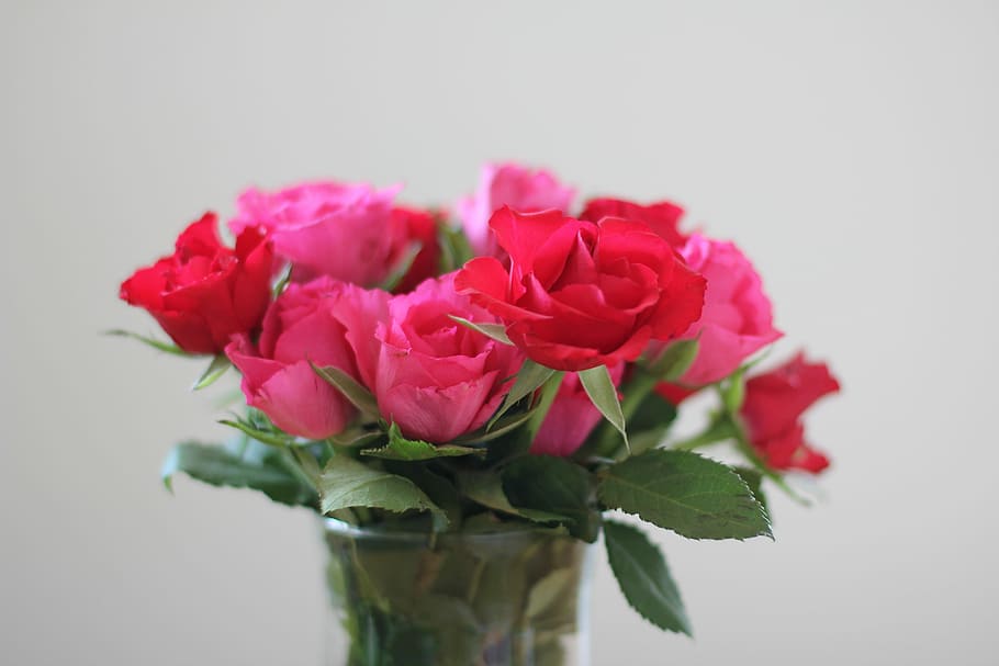 Roses, Strauss, Pink, Bouquet, red, bouquet of roses, blossom HD wallpaper