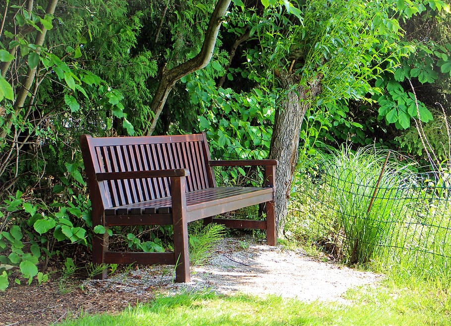 seat, bench, tree, rest, silent, green, bank, sit, out, plant HD wallpaper