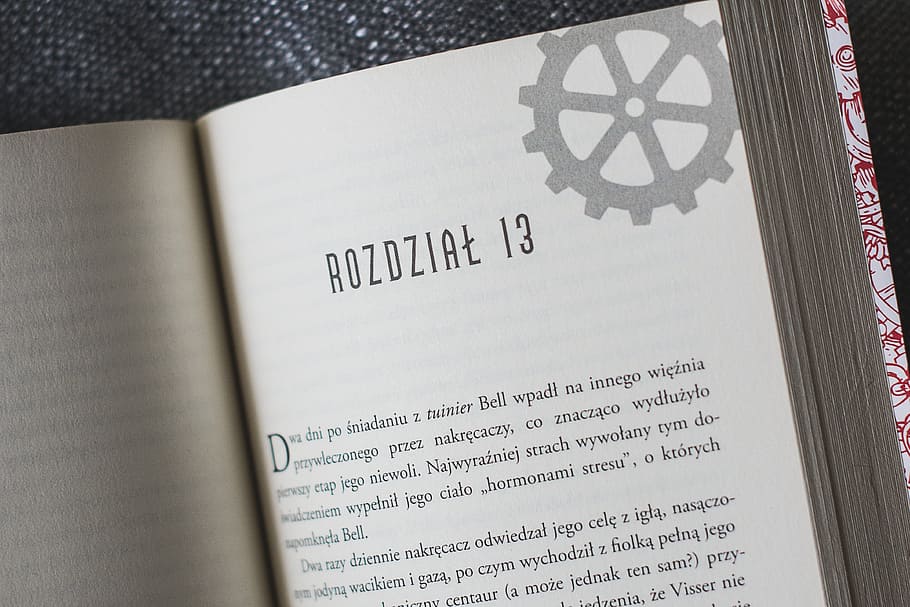 book, reading, education, knowledge, white, entertainment, vacations HD wallpaper
