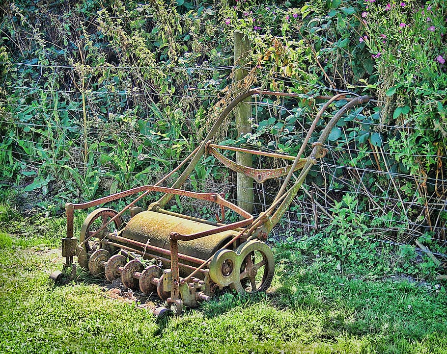 roller, garden, grass, summer, lawn, outdoor, gardening, sunny HD wallpaper