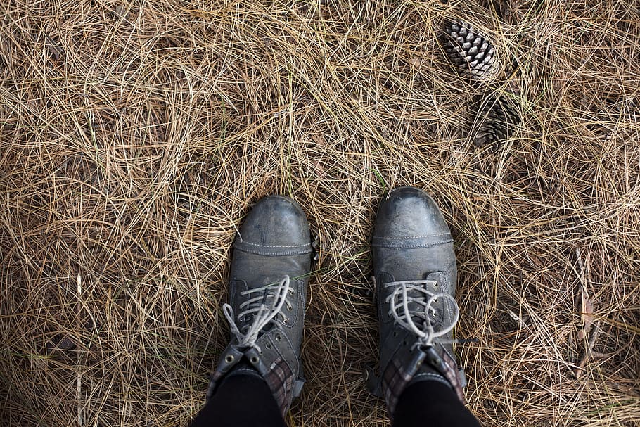 person wearing pair of black work boots in nature, person wearing pair of gray leather cap-toe combat boots standing on hay