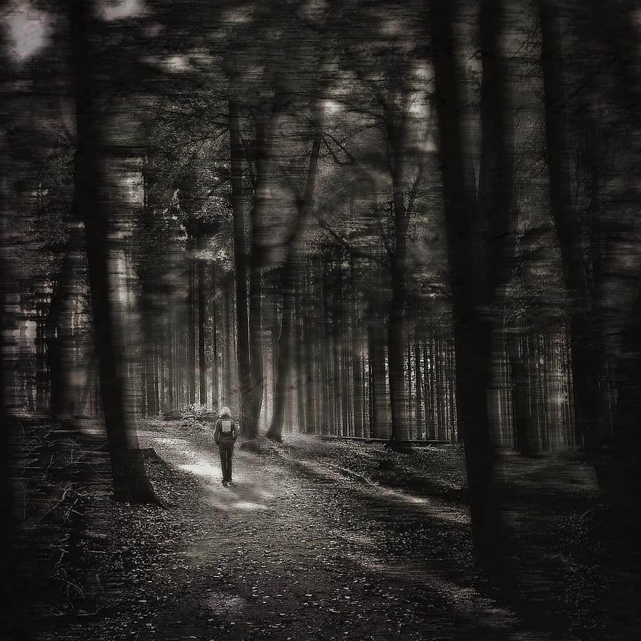 grayscale photo of person walking toward forest, gloomy, mood HD wallpaper
