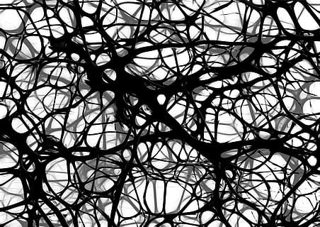 black and white digital wallpaper, neurons, brain cells, brain structure HD wallpaper