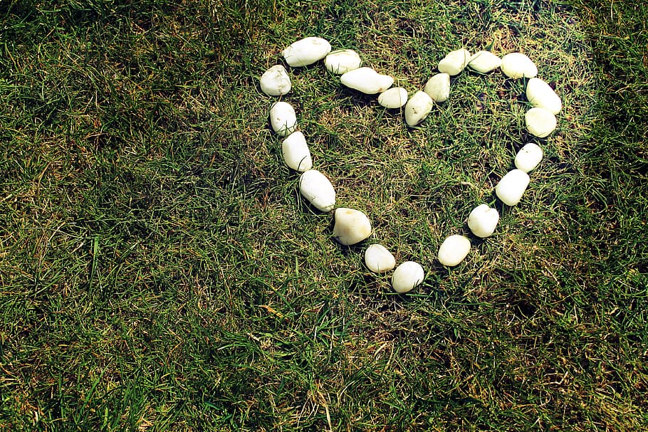 heart-shaped white stones on green grass, outdoor, love, valentine HD wallpaper