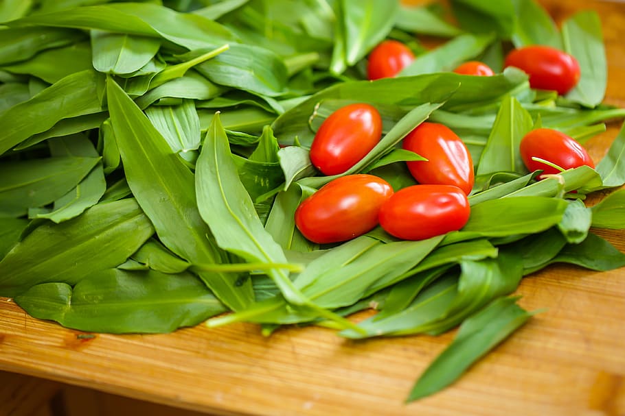 bear's garlic, allium ursinum, food, vegetables, leaf, fresh, HD wallpaper