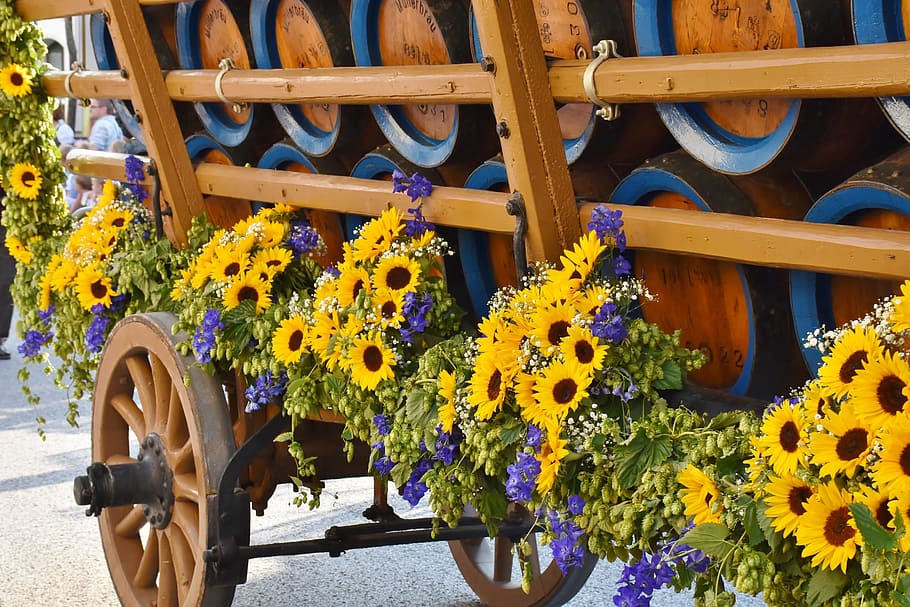 yellow petaled flowers on wagon, beer car, barrels, barrel coach, HD wallpaper