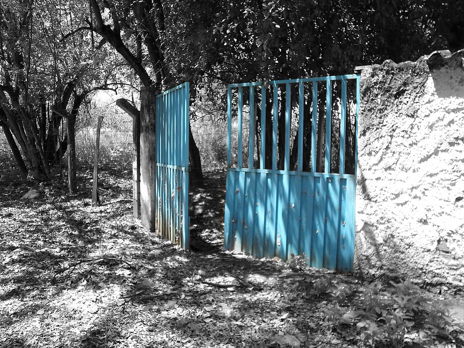 doors, landscape, nature, field, trees, blue, plant, no people HD wallpaper
