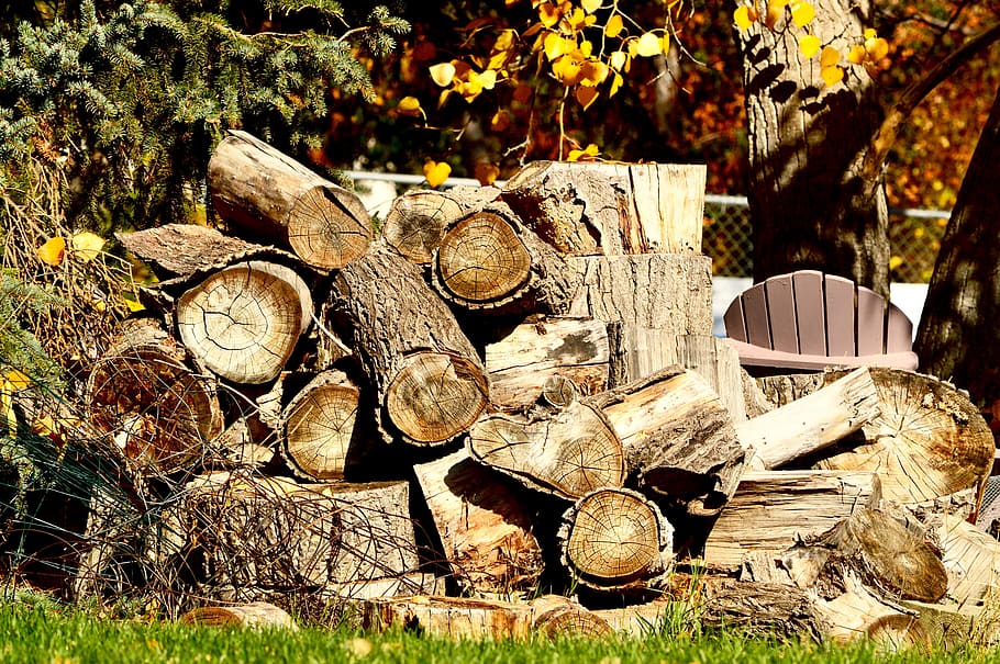wood, pile, woodpile, firewood, stack, timber, bark, lumber, HD wallpaper