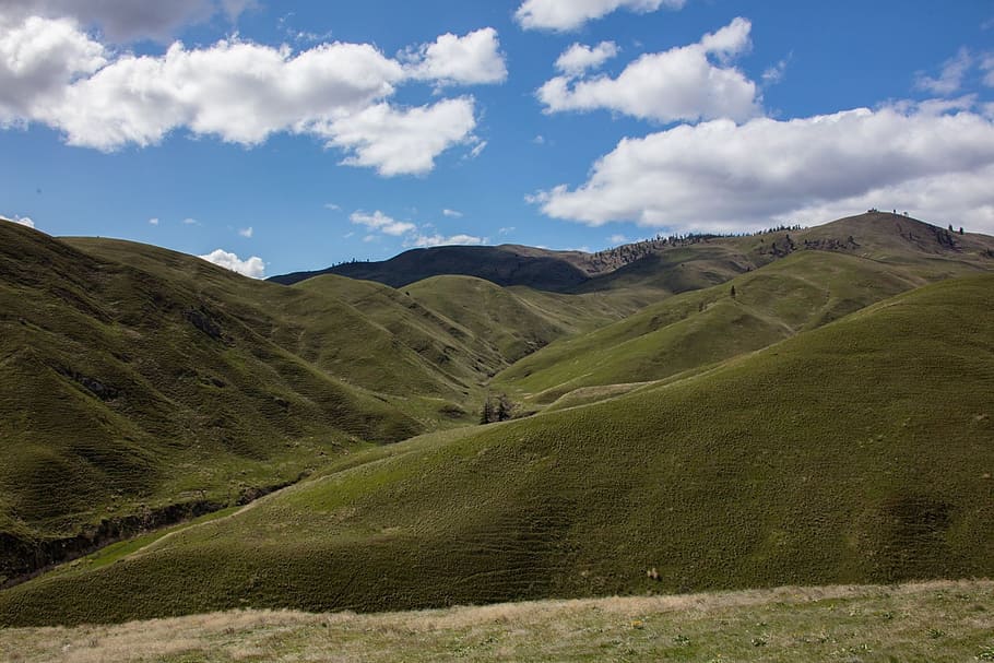 wenatchee, washington, landscape, mountain, nature, hill, outdoors HD wallpaper