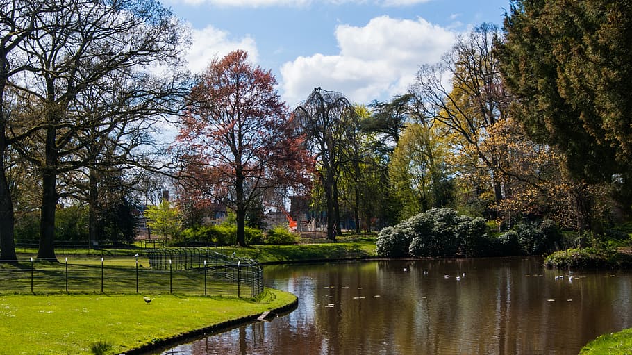 park, water, landscape, trees, nature, plant, growth, sky, cloud - sky HD wallpaper