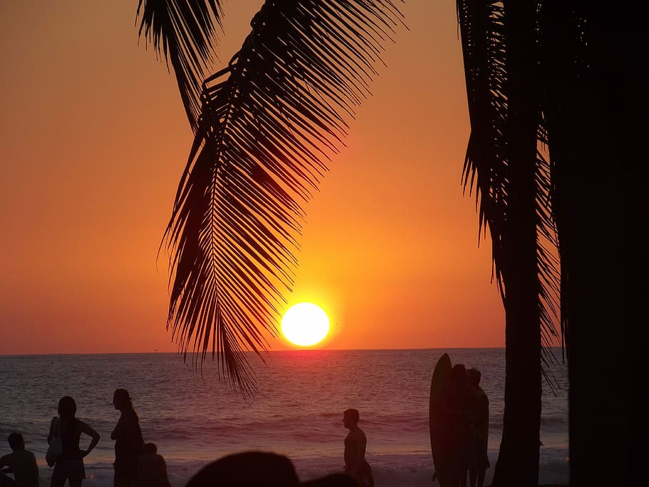 Beach, Sunset, Palm Tree, Ocean, vacation, dusk, setting sun HD wallpaper