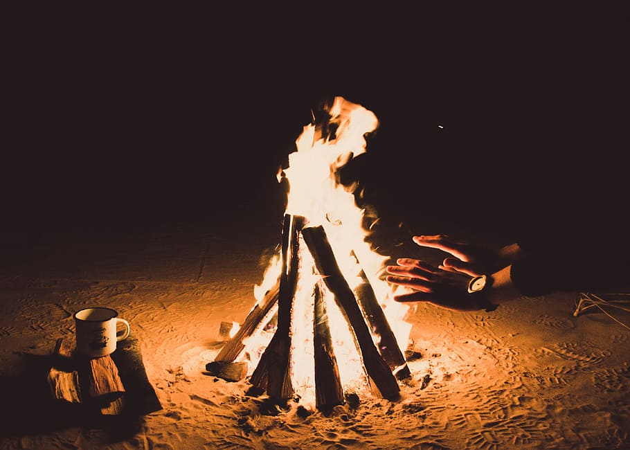 person heating hands beside bonfire at nighttime, bonfire beside white cup HD wallpaper