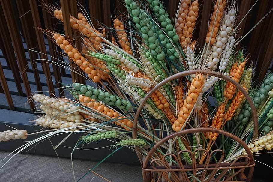 wheat, plastic, grain, healthy eating, freshness, wellbeing HD wallpaper