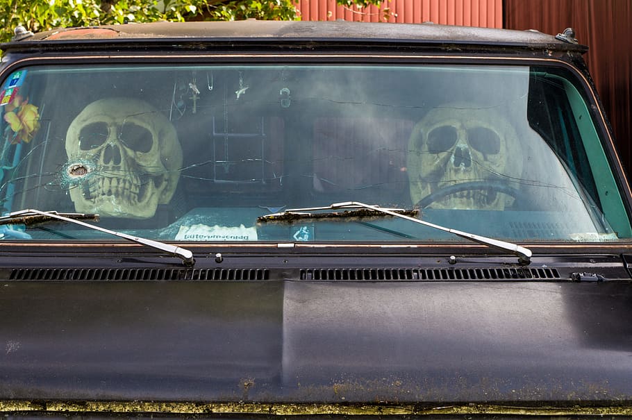 auto, nonsense, joke, fun, human, skull, funny, weird, skull and crossbones HD wallpaper
