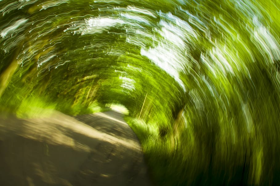 background, strudel, abstract, photo art, trees, motion, blurred motion, HD wallpaper