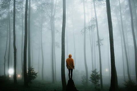 person standing on rock outdoors, person standing on boulder in foggy forest HD wallpaper