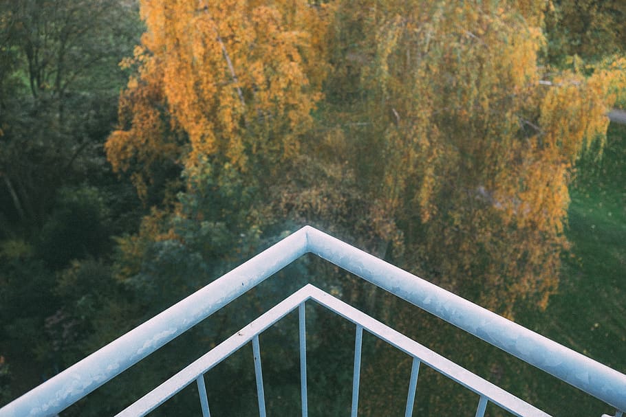 Yellow autumn tree, abstract, nature, other, outdoors, forest HD wallpaper