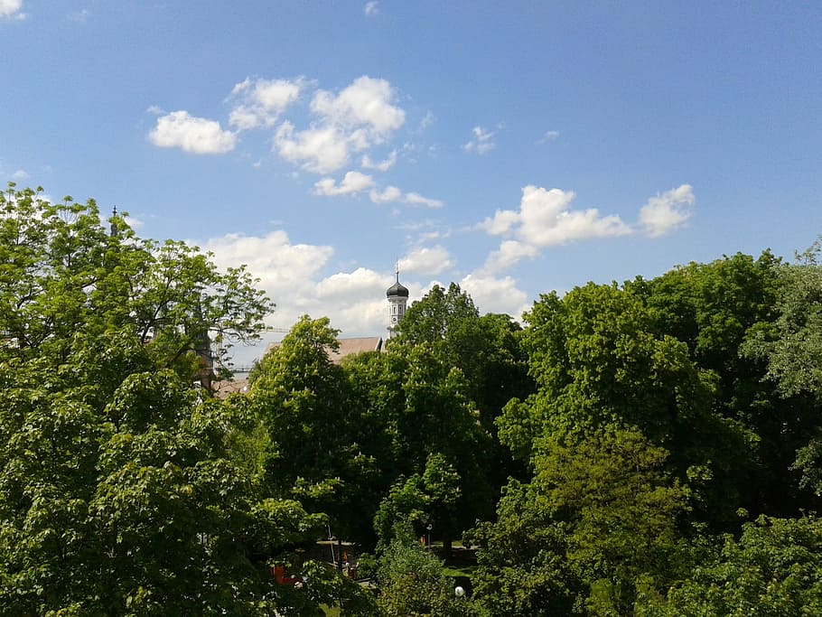 Landscape, Nature, Forest, Summer, clouds, sky, ulm, church HD wallpaper