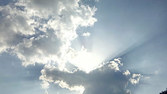 white cloud during daylight, sun, sun rays, summer, bright HD wallpaper
