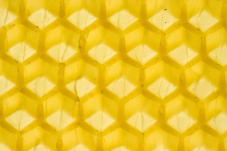 yellow wallpaper, beeswax, honey, honeybee, honeycomb, industrious, HD wallpaper