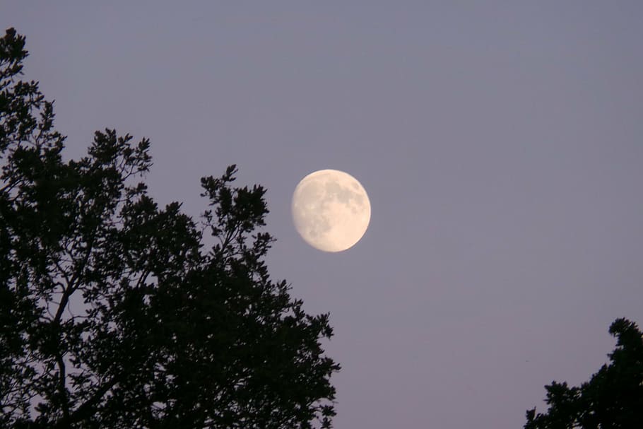 moon, dark, sunset, night, light, sky, moonlight, space, astrology HD wallpaper