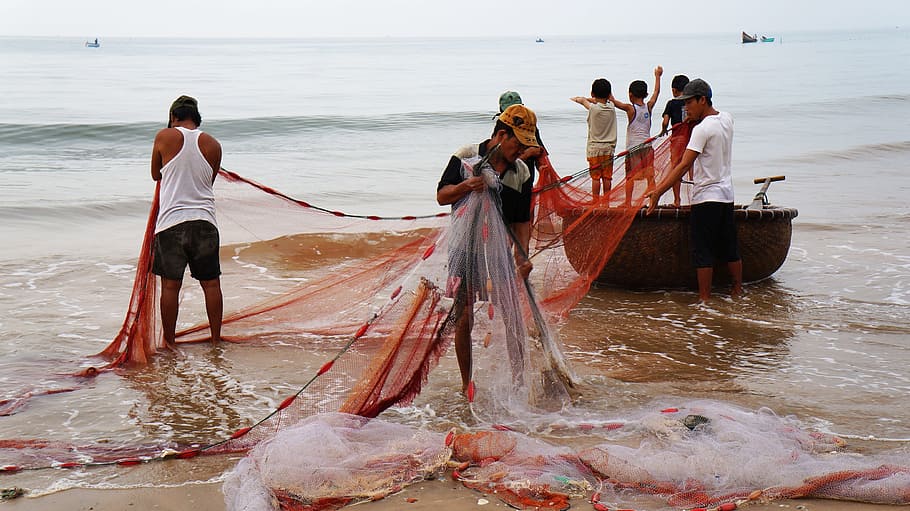 the fishing village, drag-net, people, life, vietnam, water