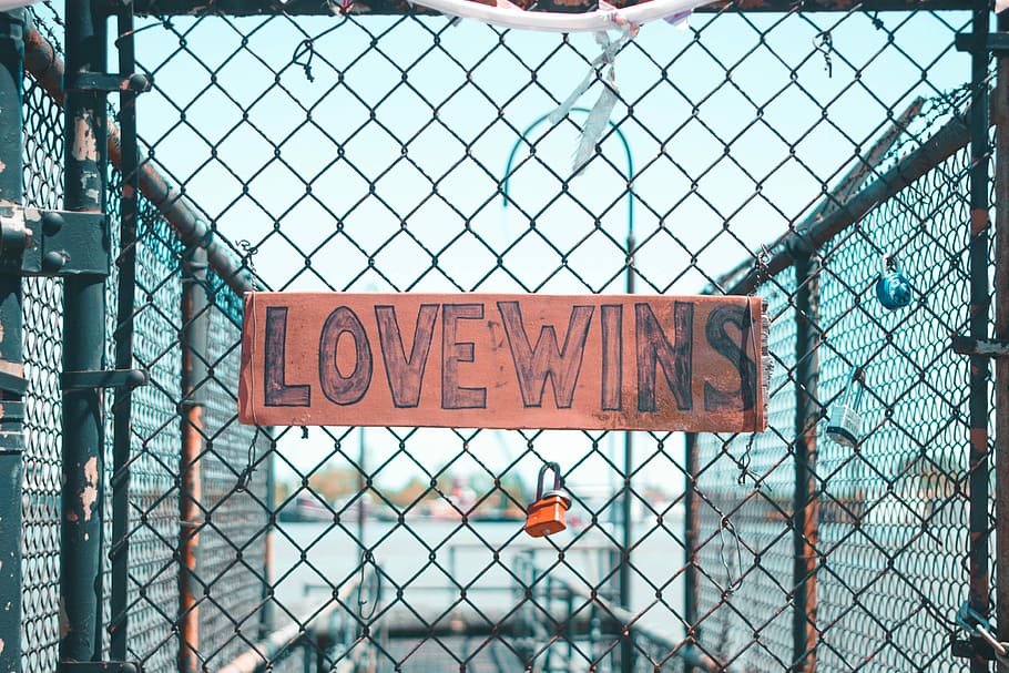 Love Wins-printed signage, Lovewins sign on gray wire fence, lock