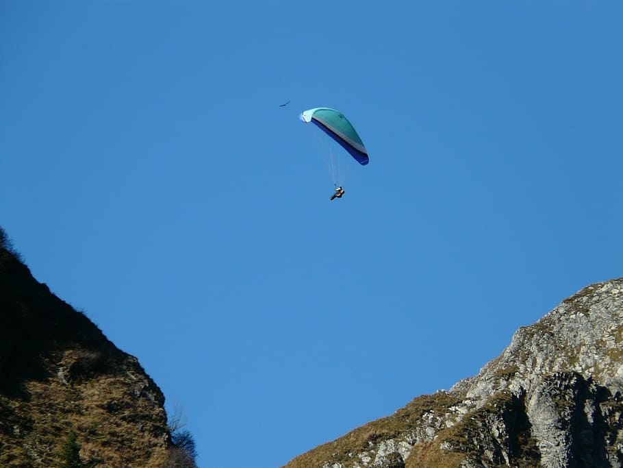 paraglider, paragliding, fly, screen, leisure, sport, hobby HD wallpaper